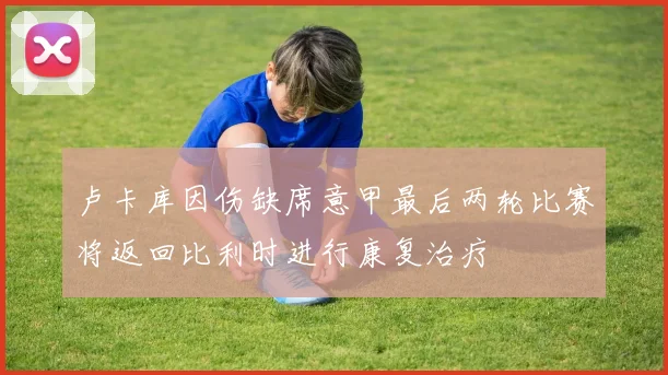 卢卡库因伤缺席意甲最后两轮比赛将返回比利时进行康复治疗