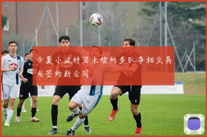 今夏小波特若未续约多队争相交易或签约新合同